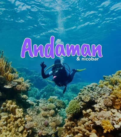 andaman nicobar travel package