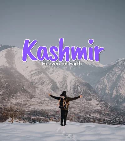 holiday packages kashmir srinagar