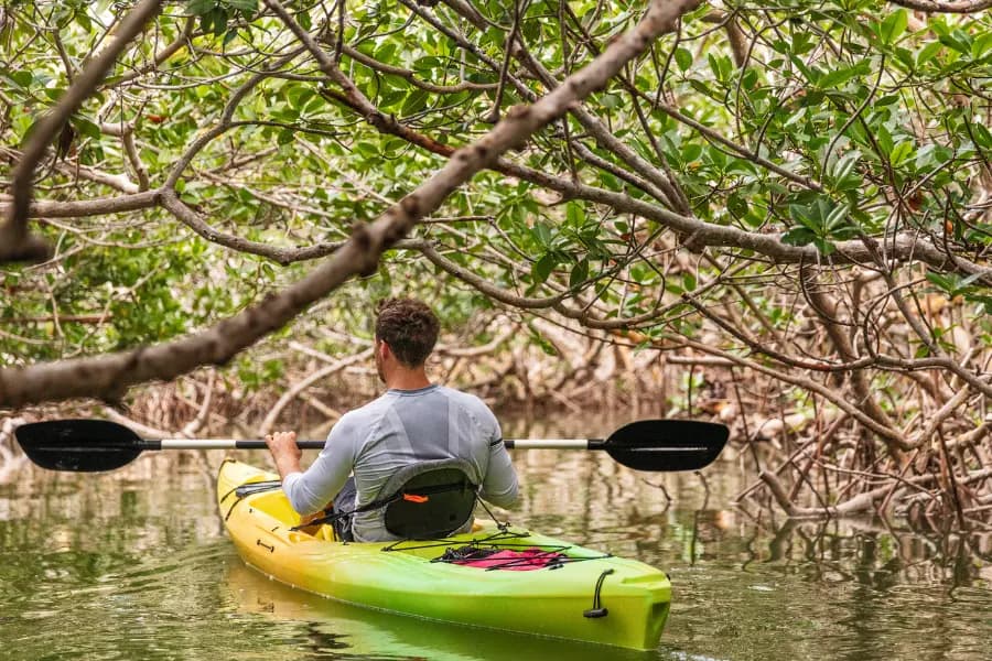Kayaking: Paddle Through Mangroves and Bioluminescent Waters