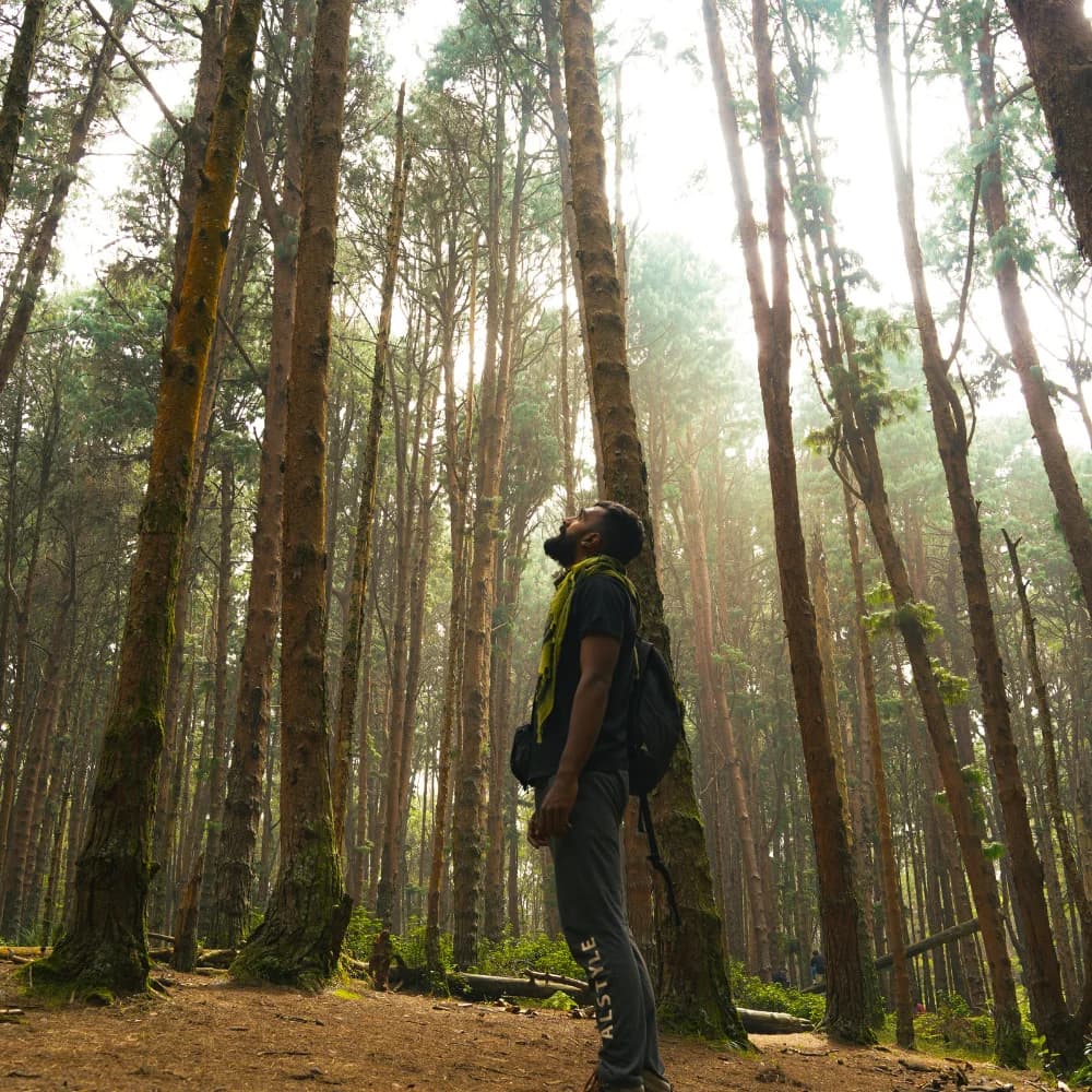 kodaikanal tour packages