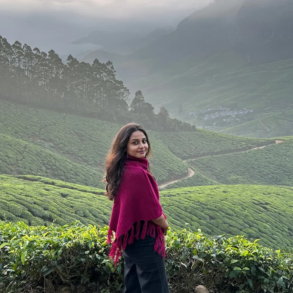 munnar tour package
