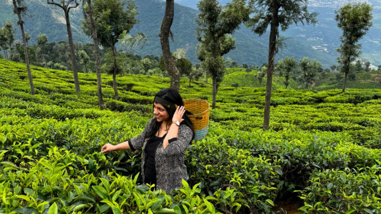 Ooty trip package